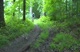 Kevin Hines lap 4