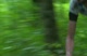 Seamus Powell lap 4