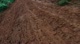 Jungle Mud Stage 1