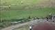 JHK Wins XC National Championship!