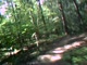 BNG Helmet Cam Course View 2