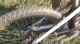 Aaron Snyder Pro Bike