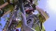 Downhill race in Brazilian slum