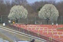 Milligan Relays 100 meter hurdles