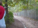 SECTION XI RACE