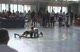 Freestlye State Final