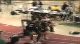 Alan Webb Debut 800