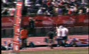 B 4x100 H01 (Bantum)