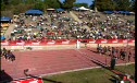 B 800 H02 (Seeded)