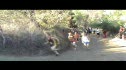 Boys D1-2 JV National Championships Mt Sac XC 2009