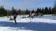 Canadian Champs Masters 8k Race