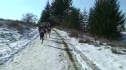 Canadian Champs Women's Senior 7k