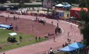 G 4x200 H03 (Seeded)