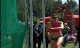 Lacy Janson final miss