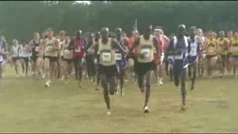Cowboy Jamboree Men's 8k