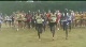 Cowboy Jamboree Men's 8k