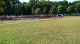 Iona Meet of Champions - Men's 8k