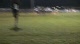 Memphis Twilight College Men's 4 mile