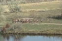 2007 West Regional XC