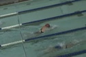 MU Women's 100 BR