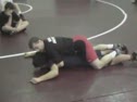 the high gut - Wrestling video the high gut