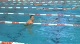 Auburn sprinters torpedo warmdown