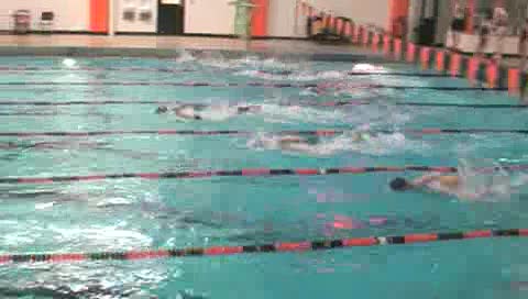 Lake Oswego Lactate Set