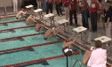 M HS 100 scy back final ha d1