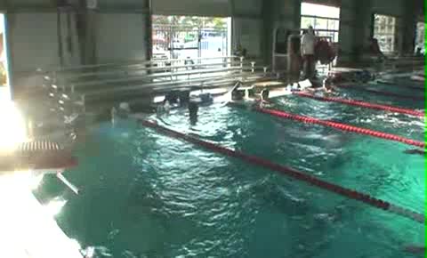The Nitro Whistle Set