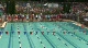Swim Off