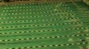 W college 100 scy fly prelim h1 d2