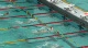 Women's 100 Breast