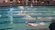 m college 200 scy fly final ha d1