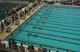 m college 50 scy free final ha d1
