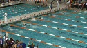 m hs 100 scy back prelim h1 d1