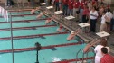 m hs 100 scy back prelim h3 d1