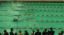 m hs 50 scy free prelim h17 d1