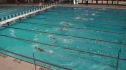 w club 100 scy back prelim h8 d3