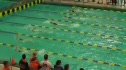 w hs 100 scy back prelim h4 d2