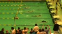 w hs 500 scy free final hc d2