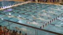 w hs 50 scy free hA d2