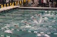 w international 100 scm free prelim h1 d1