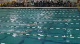 w international 200 scm free prelim h2 d3