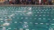 w international 200 scm im final ha d3