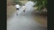 Max and Chris Hill Workout