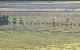 2008 Girls NXN Championship
