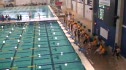 m hs 50 scy free final h1 d2