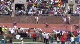 M 4x100  (Event 225 Champ of America)