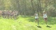 Men's Blue Race