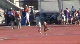 W 4x800
